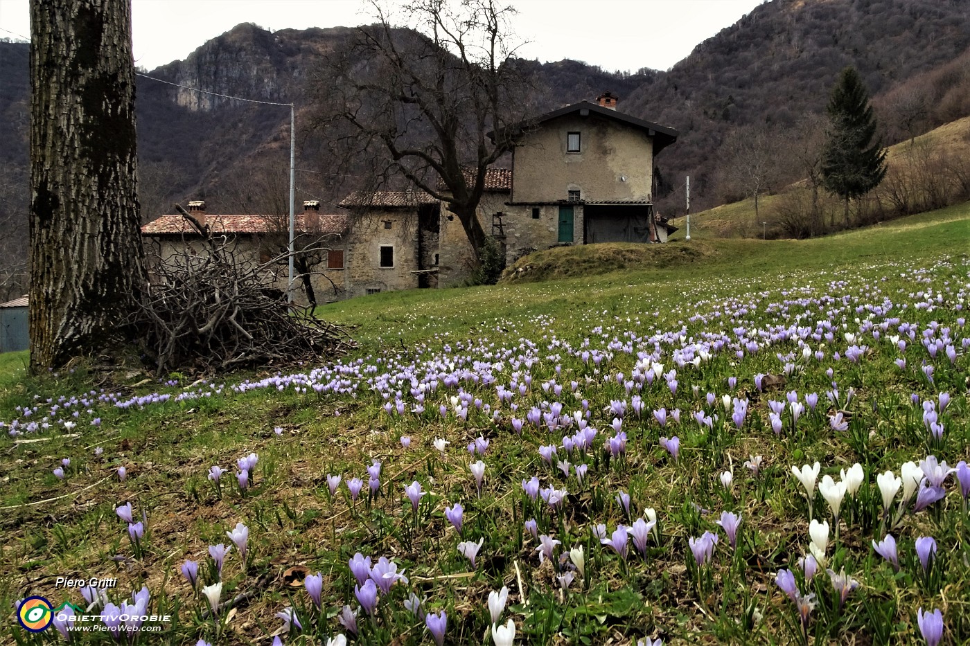 81 Scesi dal Ronco a Vettarola (974 m).JPG